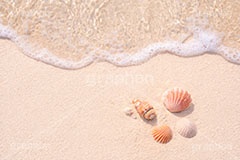 砂浜と貝殻,夏休み,波,砂浜,貝殻,海,貝,波打ち際,風物詩,自然,夏,ポエム,sea,summer,AI生成素材