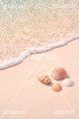 砂浜と貝殻,夏休み,波,砂浜,貝殻,海,貝,波打ち際,風物詩,自然,夏,ポエム,sea,summer,AI生成素材