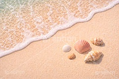 砂浜と貝殻,波打ち際,入道雲,砂浜,貝殻,海,貝,風物詩,夏休み,波,自然,夏,ポエム,sea,summer,AI生成素材