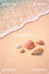 砂浜と貝殻,砂浜,貝殻,海,貝,波打ち際,風物詩,夏休み,波,自然,夏,ポエム,sea,summer,AI生成素材