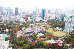 増上寺,寺,東京タワー,展望台,展望,眺め,ながめ,見下ろす,Tokyo Tower,港区,東京,一望,見晴,寺院