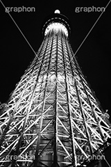 スカイツリー夜景,モノクロ,白黒,しろくろ,モノクローム,単色画,単彩画,単色,tower,japan,タワー