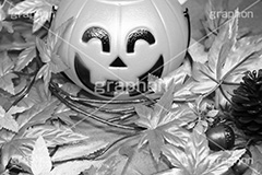 Halloween,モノクロ,白黒,しろくろ,モノクローム,単色画,単彩画,単色