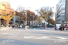 原宿駅前,駅前,原宿,はらじゅく,渋谷区,交差点,並木,並木通り