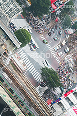 渋谷スクランブル交差点,渋谷,しぶや,ハチ公,観光,交差点,渋谷駅,駅前,スクランブル,外国人,海外,shibuya,道玄坂,japan,横断歩道,信号