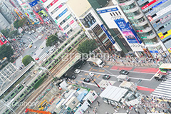 渋谷スクランブル交差点,渋谷,しぶや,ハチ公,観光,交差点,渋谷駅,駅前,スクランブル,外国人,海外,shibuya,道玄坂,japan,横断歩道,信号