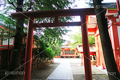 花園神社,神社,参拝,お参り,新宿,新宿区,郷社,倉稲魂命,日本武尊,受持神,徳川家康,文化財,芸能,都心,都会,鳥居,shrine,japan