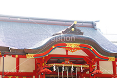 花園神社,神社,参拝,お参り,新宿,新宿区,郷社,倉稲魂命,日本武尊,受持神,徳川家康,文化財,芸能,都心,都会,境内,shrine,japan