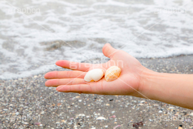 海で貝殻拾い,貝,貝殻,拾う,手,波打ち際,波,砂浜,泡,あわ,海,sea,hand,model,人物,モデル