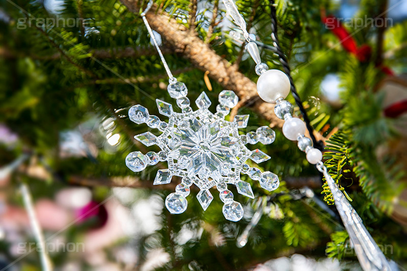 クリスマスオーナメント,クリスマス,クリスマスツリー,モミの木,もみの木,CHRISTMAS,Xmas,tree,飾り,デコレーション,オーナメント,イベント,冬,ornament,装飾,行事,雪の結晶,結晶,フルサイズ撮影