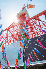 東京タワーと鯉のぼり,こいのぼり,鯉のぼり,5月5日,端午,節句,供物,こどもの日,子供の日,こども,子供,男の子,東京タワー,とうきょうタワー,Tokyo Tower,event,kids,港区,和,文化,japan,風習,行事,なびく