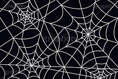 蜘蛛の巣模様,蜘蛛の巣,クモの巣,くも,クモ,蜘蛛,ホラー,ハロウィン,はろうぃん,ハロウィーン,おばけ,イベント,イラスト,ポップ,背景,模様,柄,もよう,スパイダー,クール,かっこいい,カッコイイ,POP,Halloween,illustration,spider,cool