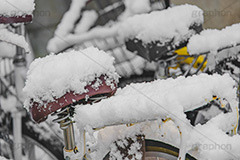 自転車に積もった雪,雪の朝,雪,積もる,冬,サドル,自転車,寒い,凍る,困る,降る,積雪,snow,winter,フルサイズ撮影